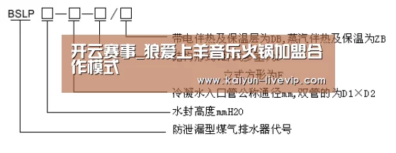 开云足球