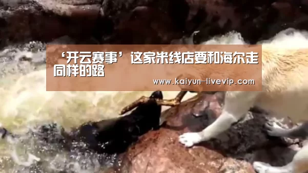 ‘开云赛事’这家米线店要和海尔走同样的路(图2) 开云赛事