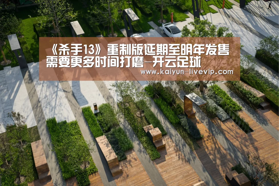 《杀手13》重制版延期至明年发售 需要更多时间打磨-开云足球(图1) 开云赛事