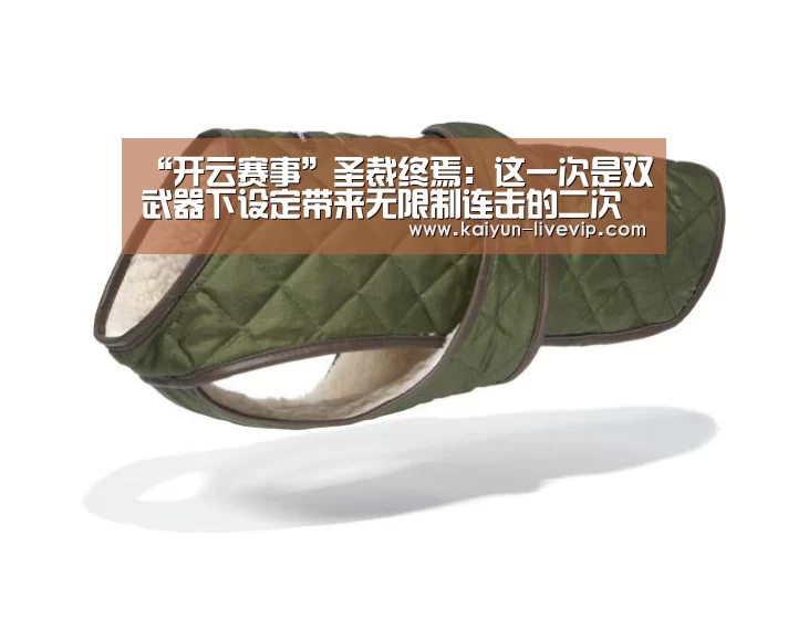 “开云赛事”圣裁终焉:这一次是双武器下设定带来无限制连击的二次元小姐姐们(图1) 开云体育